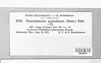 Image Associated With the Occurence